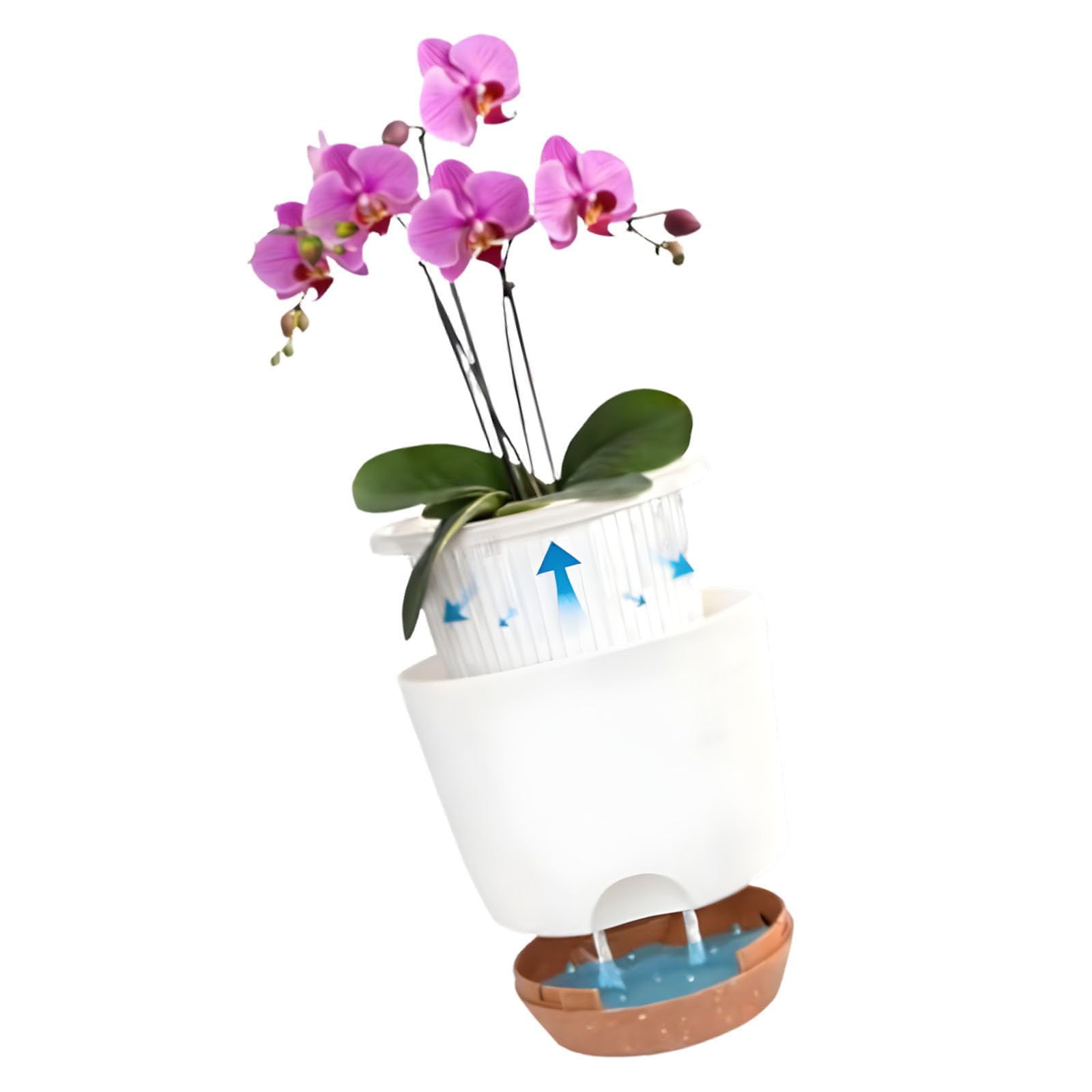 Hsioluted 2 Pack Clear Double Layer Flower Pots for Enhanced Ventilation and Root Health Drainage Flower Container