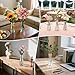 Glass Bud Vases for Centerpieces,Set of 12 Clear Small Vase Bulk,5.1