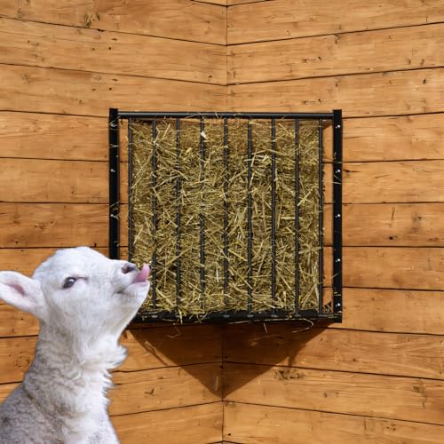 Brama-West Heuraufe Pferd | Wandraufe Für 14kg Heu | Mit Belüftungslöchern
