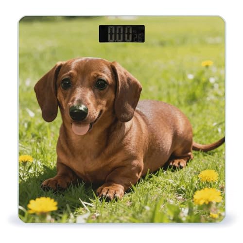 Báscula digital para baño Cute Dachshund con pantalla LCD