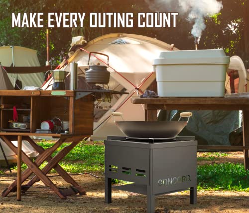 Concord Professional Single Banjo Wok Burner With Stand. Drop In Wok Edition. Up To 270,000 Btu. Great For Home Brewing, Wok Stir Fry, Turkey, Etc. (16") #TOP5