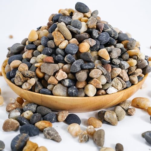 River Rocks Stones Natural Decorative Mixed Color Pebbles Fish Tank Gravel Small Garden Rocks Soil Cover for Aquariums Landscaping Vase Fillers Succulent Tillandsia Cactus Terrarium Plants 2.2lb