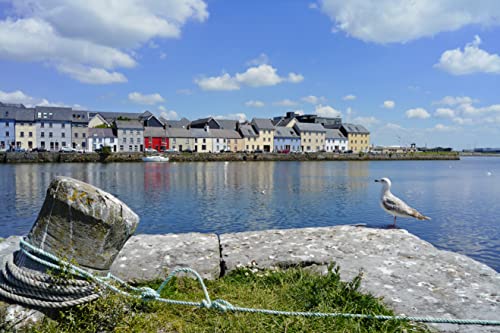 Ireland Holiday - West (Irish Maps, Atlases & Guides) #TOP3