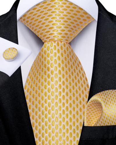 Image of DiBanGu Mens Zipper Ties Silk Adjustable Necktie Pocket Square
