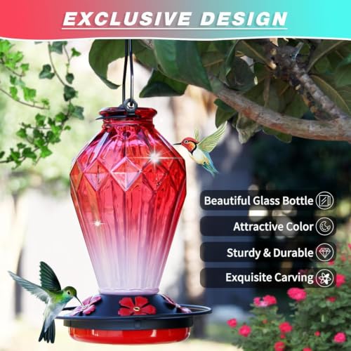 Image of 2 Pack Glass Hummingbird Feeder for Outdoors Hanging, 25Oz Humming Bird Nectar Feeder, Perch, 5 Flower Feeding Ports, Leak Proof Base, Hook for Outside Garden Backyard, Gift for Women, Diamond Red