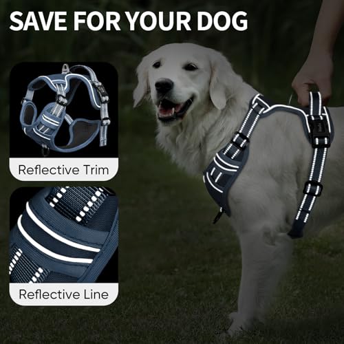 Image of HEELE Dog Harness for Medium Dogs No Pull Dog Vest Harness with Soft Padded Handle Reflective for Outdoor Training, Royal Blue, M