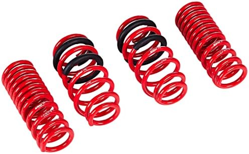 Eibach Pro-Kit Performance Spring Set of 4 Spring E10-27-004-01-22 Compatible with 2015-2016 Dodge Charger SRT Hellcat