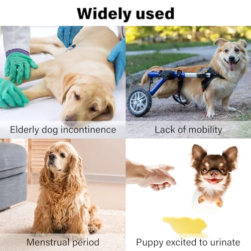 Image of 3Pcs Reusable Female Dog Diapers Physiological Pants, Pet Hygiene Panties Adjustable Shoulder Strap Size for Pets Menstrual Period Multiple Colors XS