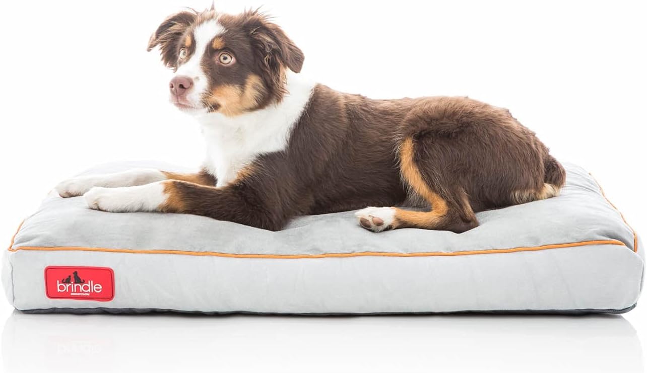 brindle memory foam dog bed