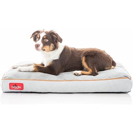 brindle soft shredded memory foam dog bed