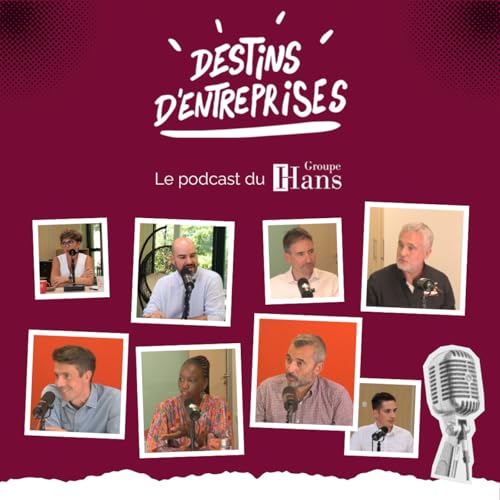 Destins d'entreprises ! cover art