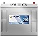 VARTA ProMotive SLI (J1) 12V 125Ah 720A - Robuste Nassbatterie für Nutzfahrzeuge vibrationsresistent - Starterbatterie KFZ mit hohem Energiebedarf - Bleisäurebatterie mit zuverlässiger Startkraft