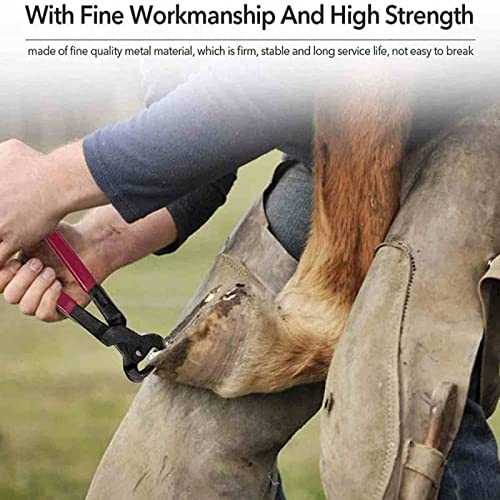 Hoeftrimmers Geitenknipperscharen Nagelknipper, multifunctionele hoefklem voor paarden Vee- en schapendecoratie Hoefmes Schaap Hoefschaar - Afbeelding 8