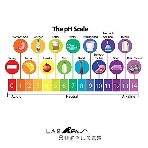The 30 Best pH Testing of 2024 [Verified] Cherry Picks