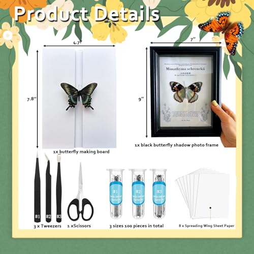 Image of Butterfly Specimen Kit Includes pins, mounting Board, Spreading Tools, Display case, Labels, Forceps, Preserving and showcasing Butterfly specimens. (Black Photo Frame Tool Set)