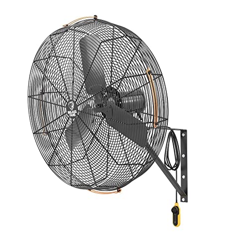 Image of Big Ass Fans AirEye 30 inch Wall Mount Fan - 120V Industrial Wall Fan, Variable Speed EC Motor, IPX5 Rated, Commercial & Outdoor Cooling, Midnight Black