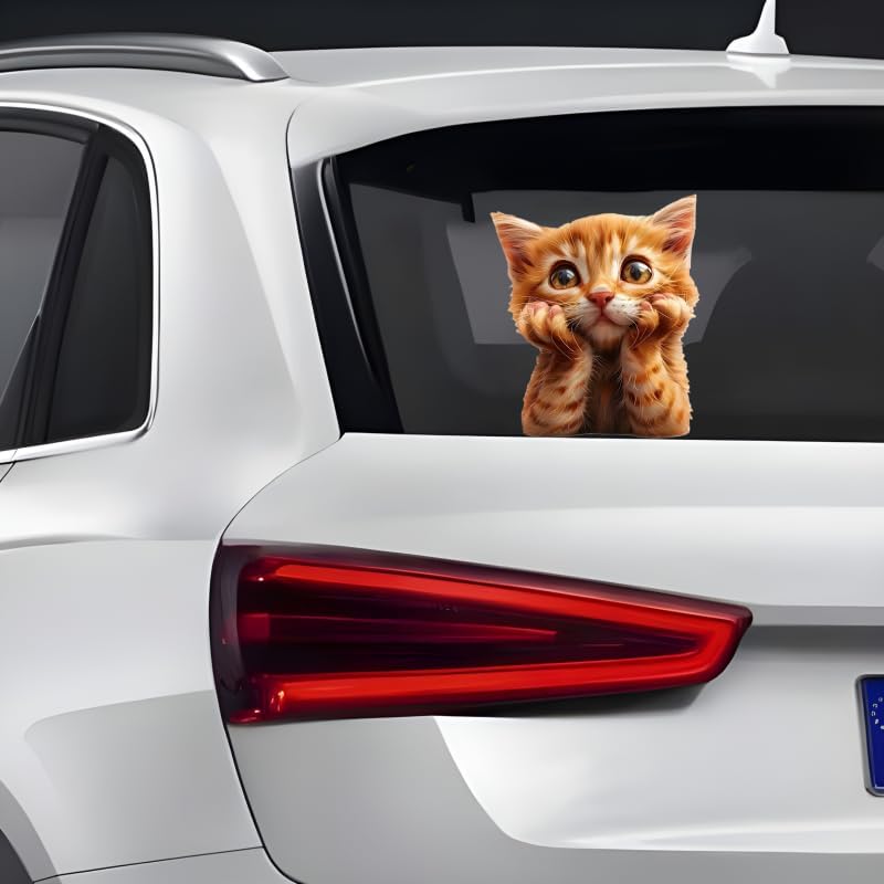 5.5 Inch 2-Pack Cat Sticker, Durable Vinyl Car Stickers & Car Decals, Waterproof Bumper Stickers and Decals for Vehicles for Cars, Laptops, Walls - Image 4