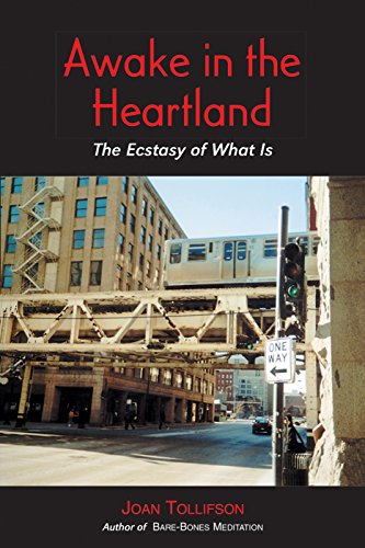 Awake in the Heartland: The Ecstasy of What Is Awake in the Heartland: The Ecstasy of What Is