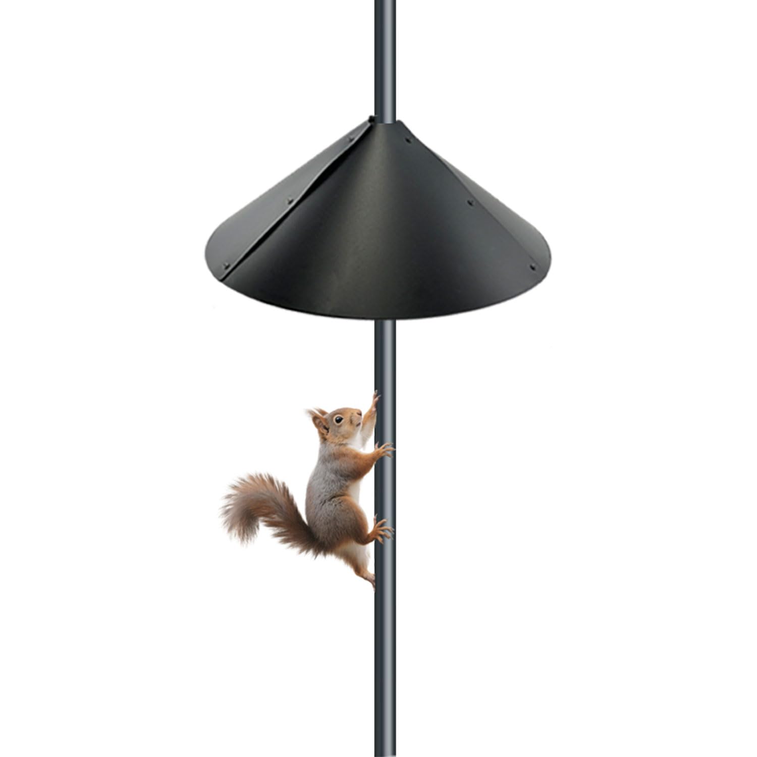 Forever Song Deflector de Ardilla de 18 Pulgadas para comederos de pájaros, Protector de Ardillas Extra Ancho y Grande (Prueba, Cono, Diferente, baffel, Bloqueador), Protector de Poste de comedero de