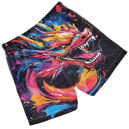 Pigsaly Boys Swim Trunks Angry Dragon Colorful Boys Board Shorts Swimsuit Swimwear Summer Bathing Suit 5T2