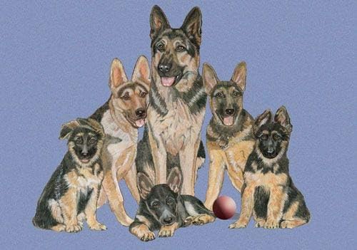 German Shepherd Blank Note Cards Boxed