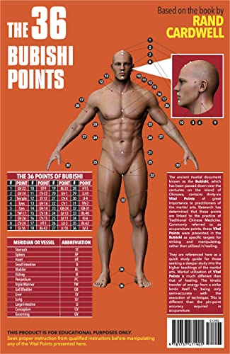 The 36 Bubishi Points, Pressure Points, Vital Points, Martial Arts, 8.5X11 Folded Or 11X17 Unfolded #TOP11