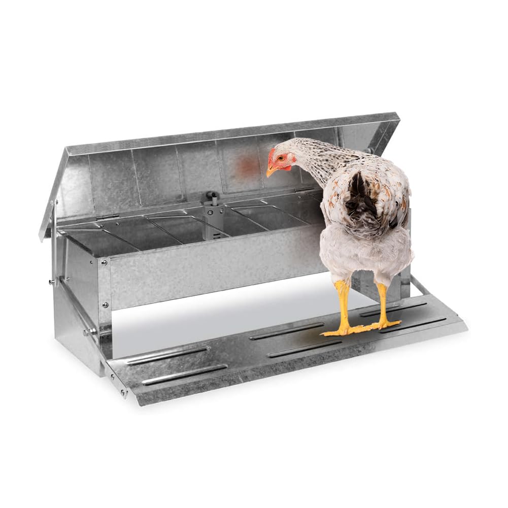 Tolva Comedero Exterior Para Gallinas 17kg - Galvanizada Con Toldo Antilluvia, Incluye Guía Y Conchilla Plus