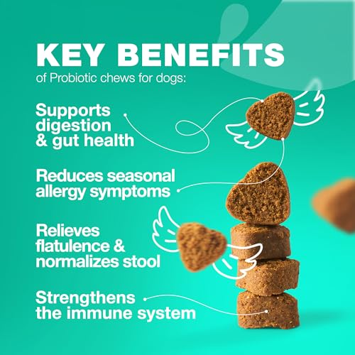 Probiotics for Dogs - Support Gut Health, Immunity, Yeast Balance, Itchy Skin, Allergies - Dog Probiotics and Digestive Enzymes - Coprophagia Deterrent for Dogs - 180 Probiotic Chews for Dogs - Thumbnail 3
