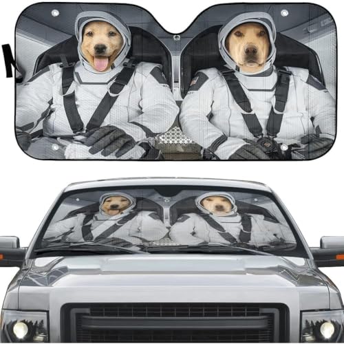 Parasol para parabrisas de perros espaciales para mantener el coche fresco en la playa y viajes