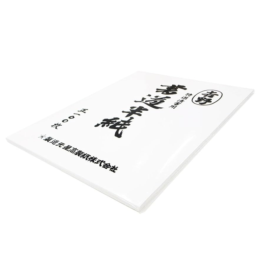9-1【1994年生産】㨂選洁白　玉版 　超級　棉料　尺八屏　安徽省【100枚】 Amazon | 呉竹 半紙 書道 清書用 厚口 100枚 LA99-1 | 書道半紙