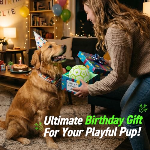 Image of QDAN Glow in The Dark Dog Toys, Dog Soccer Ball with Straps, Night Play Fun | Light Up Dog Balls for Large Dogs, Interactive Training Dog Tug Toys for Tug of War, 8 Inch, 30-90 lbs Puppy Ball, Dog Gifts