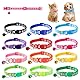 12 Katzenhalsbänder mit Sicherheitsverschluss und Glöckchen,Superweiches Welpenhalsband,Halsband Katze Katzenhalsbänder,Kleine Haustierhalsbänder für Welpen,Kleine Hunde und Katzen,Verstellbar 19-32cm