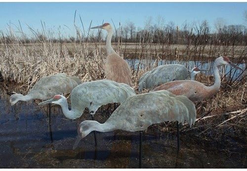 Real Geese Pro Series II Sandhill Crane Decoys - 6 Pack