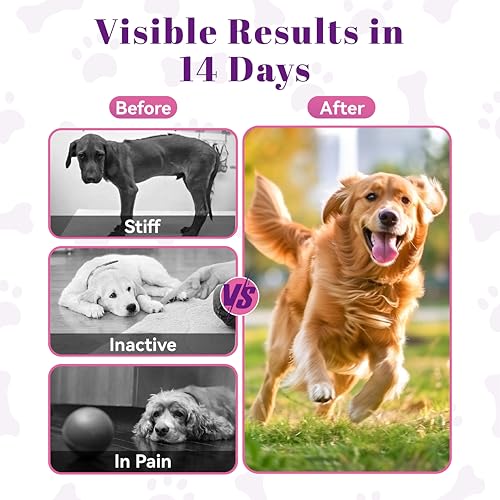 Glucosamine for Dogs Hip and Joint Support - Dog Joint Supplement with Chondroitin, MSM, Turmeric & Omega 3 - Relief for Joint Pain & Inflammation - Mobility & Flexibility - 150 Soft Chews, Chicken — view 5