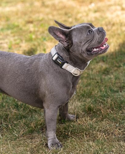 lionto Hundehalsband aus strapazierfähigem Nylon, Größe S, weiches gepolstertes Halsband für Hunde, 360° reflektierend & Klickverschluss, Metallring & Anpassung durch stufenlosen Schieber, beige