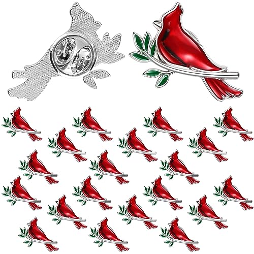 Jexine 20 Pcs Memorial Cardinal Sign Pins Set Funeral Favors Pocket Token Guardian Gifts Pocket Oil Dropped Religious Celebration of Life Memorial Sympathy Gifts Cardinal Charms