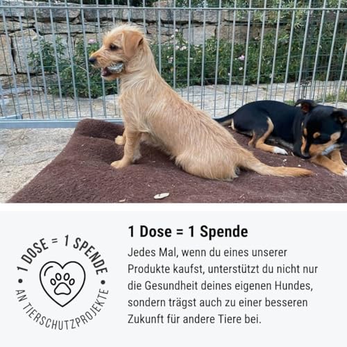 Tales & Tails Glanzstück Haut und Fell-Snack für Hunde - 1 Dose 325g