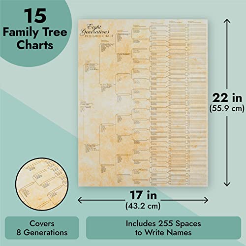 Okuna Outpost CHGYI 15 Pack Family Tree Charts To Fill In - Blank 8 Generation Genealogy Poster thumb #3
