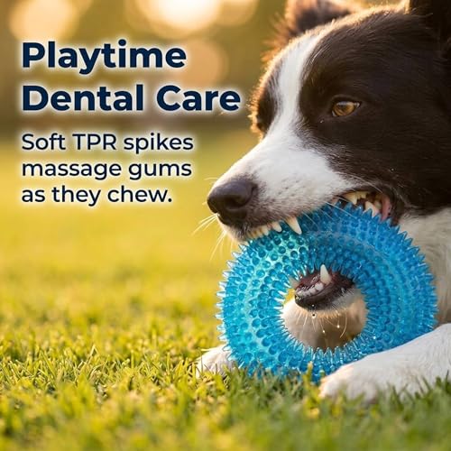 Image of Squeaky Dog Toys for Aggressive Chewers, Floating Donut Ring for Large Dogs | Blue TPR dog chew toy for small and medium dogs, teeth cleaning and puppy teething; water toy for fetch and pool play