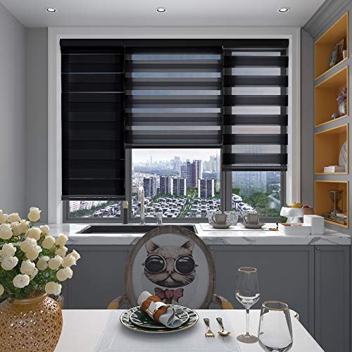 Changshade Cordless Zebra Roller Shade With Valance, Double Layered Window Blind For Day And Night, Light Filtering Window Treatment With Mesh And Opaque Fabric, 23 Inches Wide, Black Rbs23Bk72A #TOP5