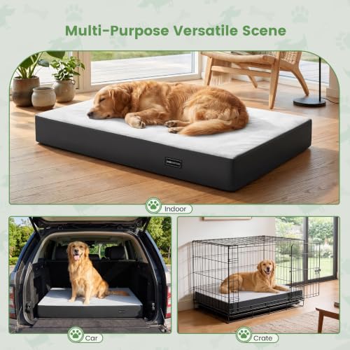 Orthopedic Dog Bed for Medium Large Dogs - image 9