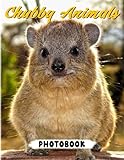 Photo Gallery chubby animals photobook: photo album collection of funny animals with 40 colorful pages to decor and relax | gifts for anxiety relief and relaxation Photo Gallery chubby animals photobook: photo album collection of funny animals with 40 colorful pages to decor and relax | gifts for anxiety relief and relaxation