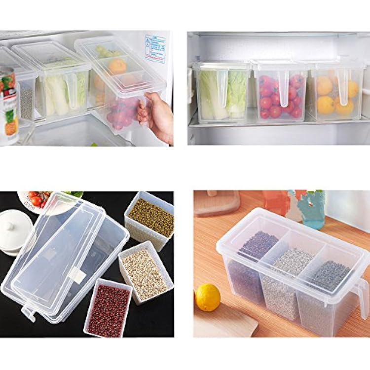 MineSign 2 Pack Plastic Divided Veggie Storage Containers with Lids and Handles for Fridge Storage Organizer Boxes for Refrigerator Produce Beans Fruits Organzation