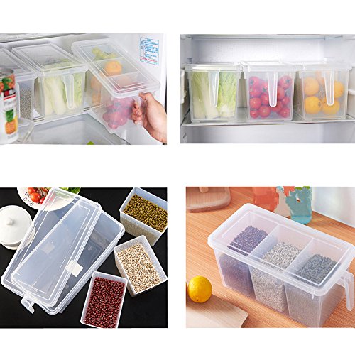 Minesign Plastic Storage Containers Square Handle Food Storage Organizer Boxes With Lids For Refrigerator Fridge Cabinet Desk (Set Of 2 Organizers With Lid And 6 Removable Bins) #TOP3