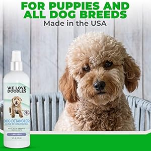 Doodle Detangler Spray Leave in Conditioner for Dogs Made in the Usa Detangler Spray for Dogs Tangle Remover Large 16 Fl Oz lavender we Love Doodles Cucciolini Doodles Doodle detangler spray leave in conditioner for dogs made in the usa detangler spray for dogs tangle remover large 16 fl oz lavender we love doodles cucciolini doodles