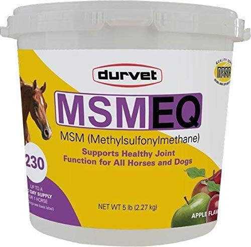 DURVET/Equine D Msm Eq 5LB
