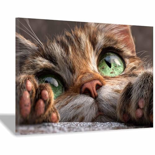 Affiche chat moderne pour grand mur vide salon cadre 70x100 inclus