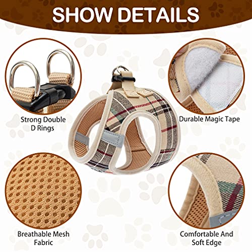 PUPTECK Adjustable Pet Harness Collar and Leash Set Step in for Small Dogs Puppy and Cats Outdoor Training and Running… - Image 4