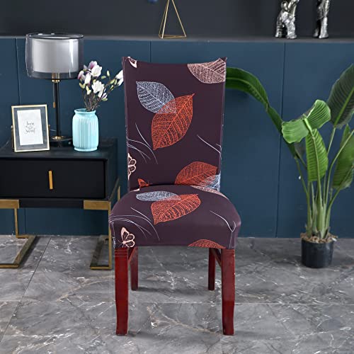 Image of House of Quirk Elastic Chair Cover Stretch Removable Washable Short Dining Chair Cover Protector Seat Slipcover ((Pack of 2, Choco Leaf))
