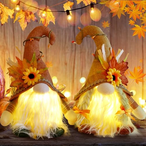 PORFOYO 2 Pezzi Gnomi Autunnali Decorazioni Autunnali Casa, Gnomo con Luci LED Autunno Decorazioni di Peluche GNOME del Ringraziamento Decorazione Domestica di Festa di Natale